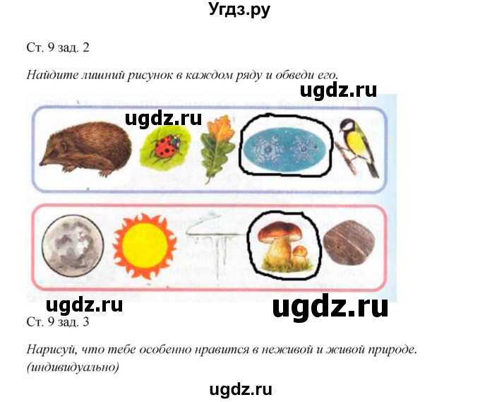 ГДЗ (Решебник) по окружающему миру 1 класс (рабочая тетрадь) Плешаков А. А. / часть 1. страница номер / 9