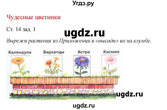 ГДЗ (Решебник) по окружающему миру 1 класс (рабочая тетрадь) Плешаков А. А. / часть 2. страница номер / 14