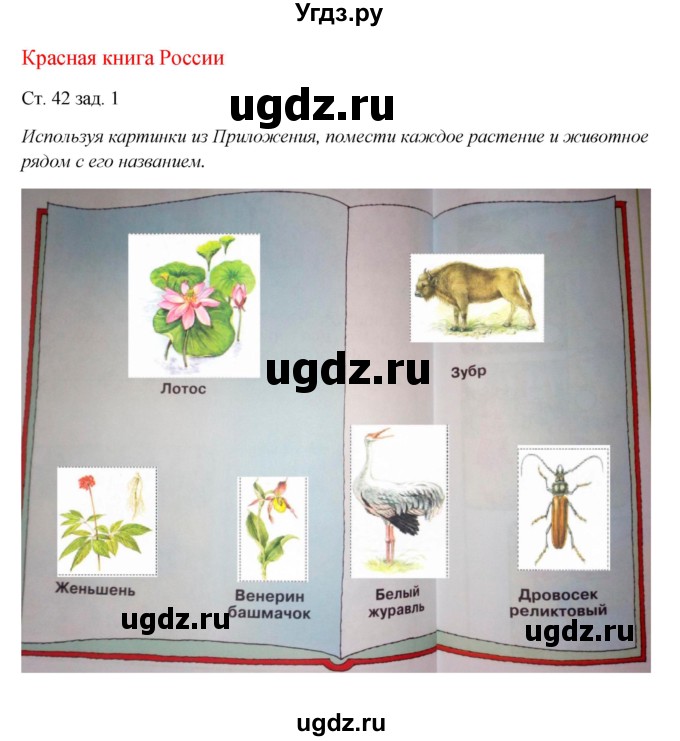 ГДЗ (Решебник) по окружающему миру 1 класс (рабочая тетрадь) Плешаков А. А. / часть 2. страница номер / 42