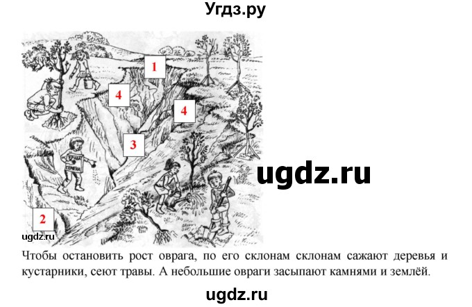 ГДЗ (Решебник) по окружающему миру 3 класс (рабочая тетрадь) Федотова О.Н. / часть 1. страница номер / 11(продолжение 2)