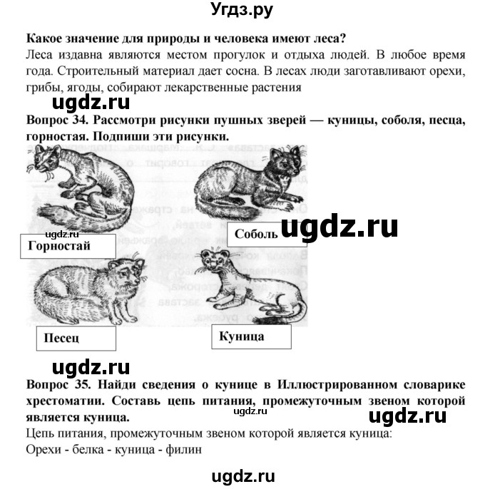 ГДЗ (Решебник) по окружающему миру 3 класс (рабочая тетрадь) Федотова О.Н. / часть 2. страница номер / 25(продолжение 2)