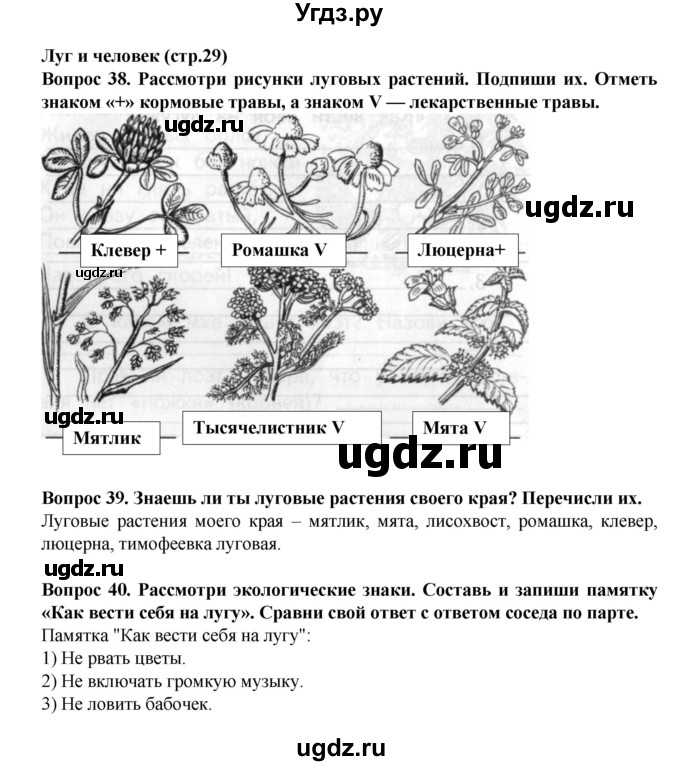 ГДЗ (Решебник) по окружающему миру 3 класс (рабочая тетрадь) Федотова О.Н. / часть 2. страница номер / 29