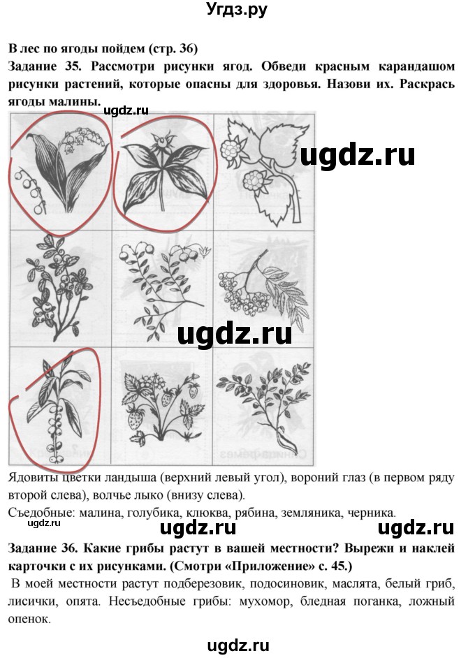ГДЗ (Решебник) по окружающему миру 1 класс (тетрадь для самостоятельной работы) Федотова О.Н. / страница номер / 36