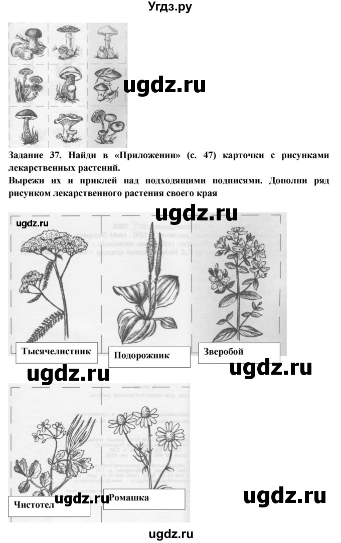 Проект подробнее о лесных опасностях по окружающему миру 2 класс рабочая тетрадь страница 20 2