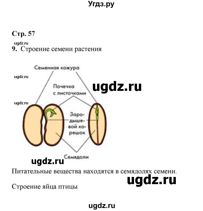 ГДЗ (Решебник) по биологии 5 класс (рабочая тетрадь) Сухова Т.С. / страница-№ / 57