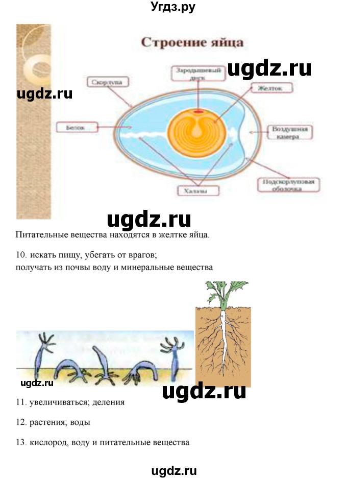 ГДЗ (Решебник) по биологии 5 класс (рабочая тетрадь) Сухова Т.С. / страница-№ / 57(продолжение 2)