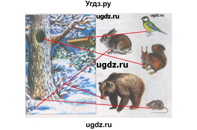 ГДЗ (Решебник) по окружающему миру 1 класс (рабочая тетрадь Школа 2100) Вахрушев А.А. / страница номер / 35(продолжение 2)