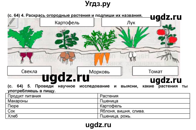 ГДЗ (Решебник) по окружающему миру 1 класс (рабочая тетрадь Школа 2100) Вахрушев А.А. / страница номер / 64(продолжение 2)