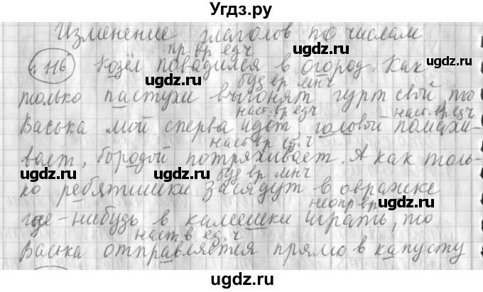 ГДЗ (Решебник) по русскому языку 3 класс (рабочая тетрадь) Климанова Л.Ф. / часть 2. упражнение / 116