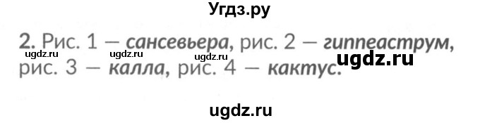 ГДЗ (Решебник №2) по окружающему миру 1 класс (рабочая тетрадь) Плешаков А.А. / часть 1. страница номер / 13(продолжение 2)