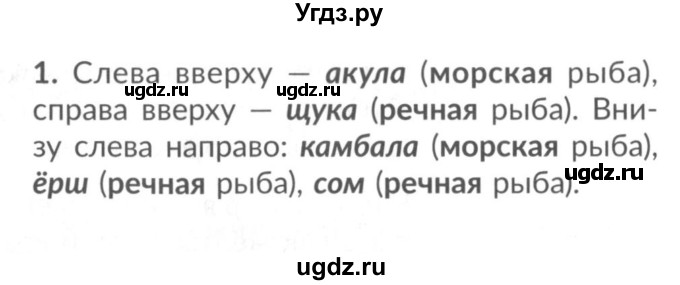 ГДЗ (Решебник №2) по окружающему миру 1 класс (рабочая тетрадь) Плешаков А.А. / часть 1. страница номер / 24