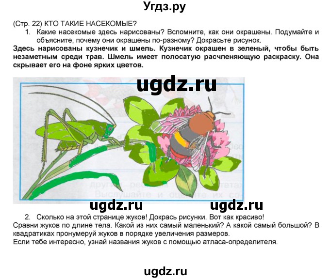 ГДЗ (Решебник №1) по окружающему миру 1 класс (рабочая тетрадь) Плешаков А.А. / часть 1. страница номер / 22