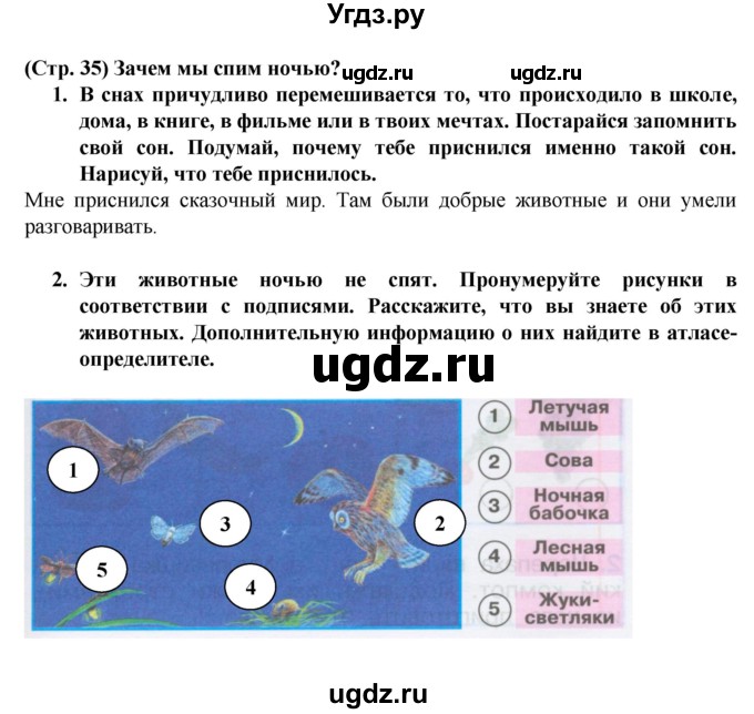 ГДЗ (Решебник №1) по окружающему миру 1 класс (рабочая тетрадь) Плешаков А.А. / часть 2. страница номер / 35