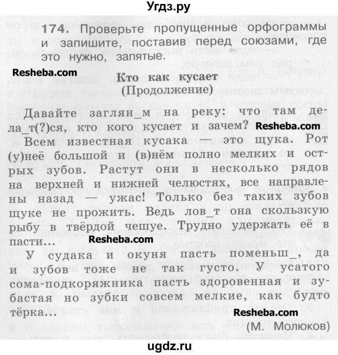 ГДЗ (Учебник) по русскому языку 4 класс Репкин В.В. / упражнение / 174