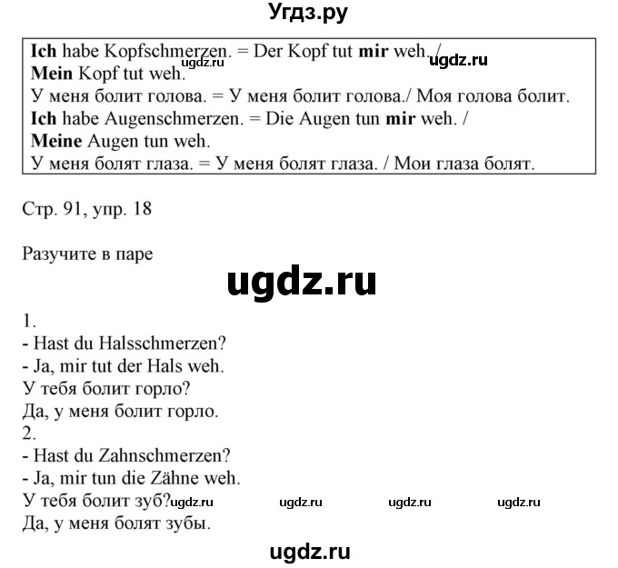 ГДЗ (Решебник) по немецкому языку 5 класс Салынская С.И. / часть 1. страница / 91(продолжение 2)
