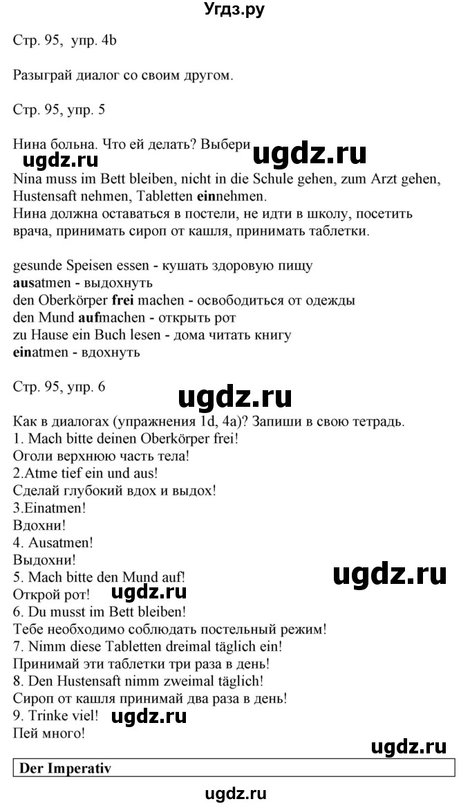 ГДЗ (Решебник) по немецкому языку 5 класс Салынская С.И. / часть 1. страница / 95