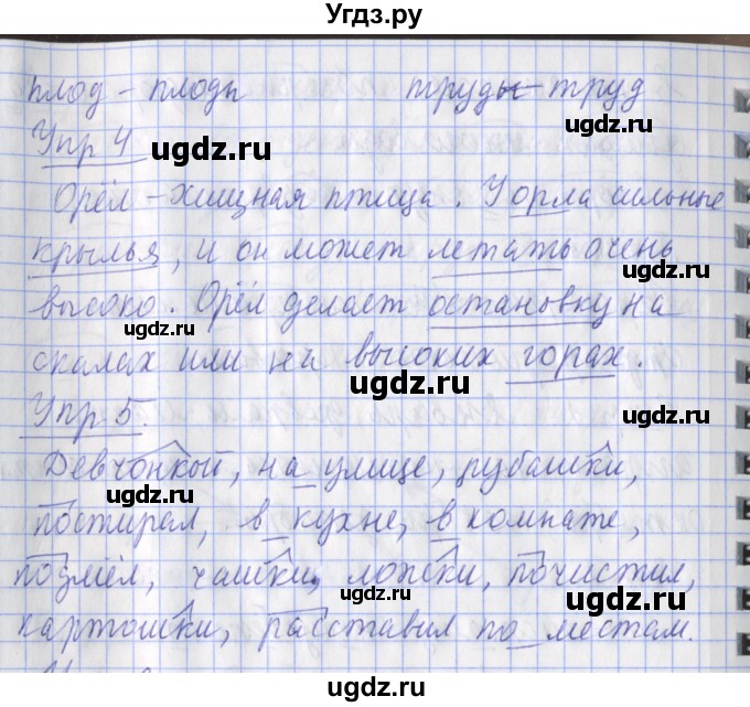 ГДЗ (Решебник) по русскому языку 2 класс (рабочая тетрадь пишем грамотно) Кузнецова М.И. / тетрадь №2. страница / 25(продолжение 2)