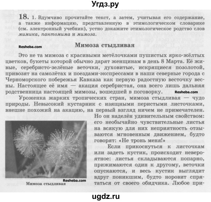 ГДЗ (Учебник) по русскому языку 10 класс Львова С.И. / упражнение номер / 18