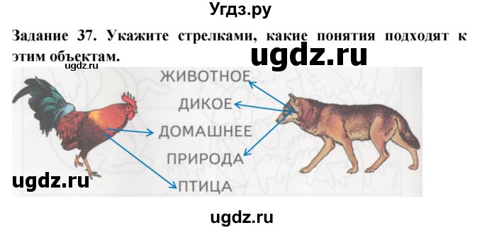 ГДЗ (Решебник) по окружающему миру 1 класс (рабочая тетрадь) Дмитриева Н.Я. / № / 37