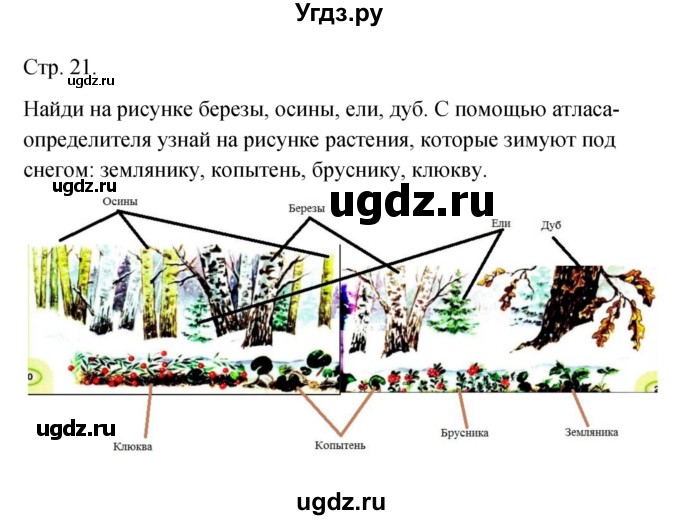 ГДЗ (Решебник к учебнику 2017) по окружающему миру 2 класс Плешаков А.А. / часть 2 (страница) / 21