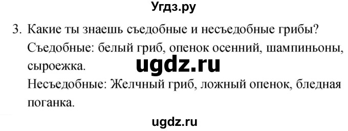 ГДЗ (Решебник к учебнику 2020) по окружающему миру 2 класс Плешаков А.А. / часть 1 (страница) / 91(продолжение 2)