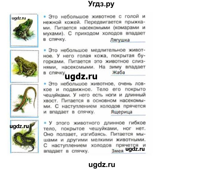 ГДЗ (Решебник) по окружающему миру 2 класс (рабочая тетрадь) Плешаков А.А. / часть 1. страница номер / 58(продолжение 2)