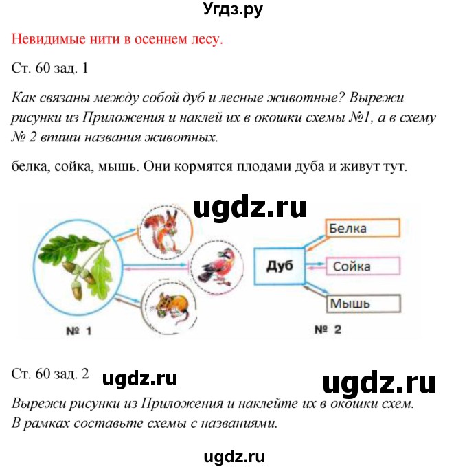 ГДЗ (Решебник) по окружающему миру 2 класс (рабочая тетрадь) Плешаков А.А. / часть 1. страница номер / 60