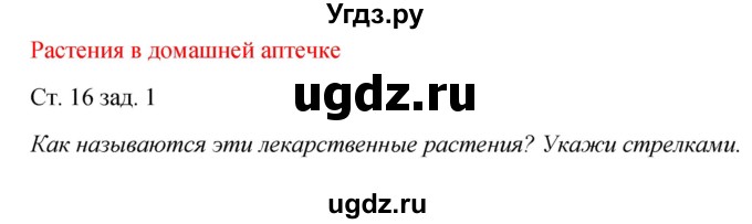 ГДЗ (Решебник) по окружающему миру 2 класс (рабочая тетрадь) Плешаков А.А. / часть 2. страница номер / 16