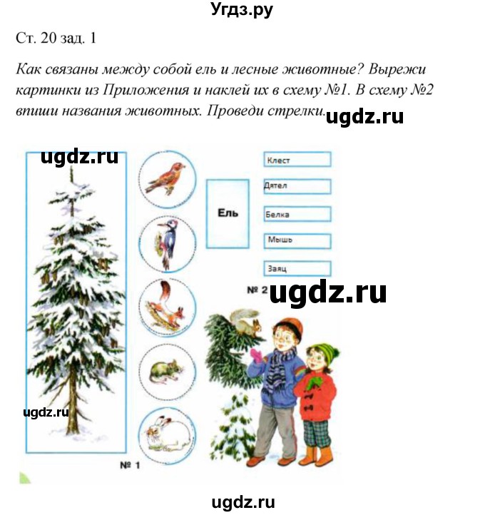 ГДЗ (Решебник) по окружающему миру 2 класс (рабочая тетрадь) Плешаков А.А. / часть 2. страница номер / 20