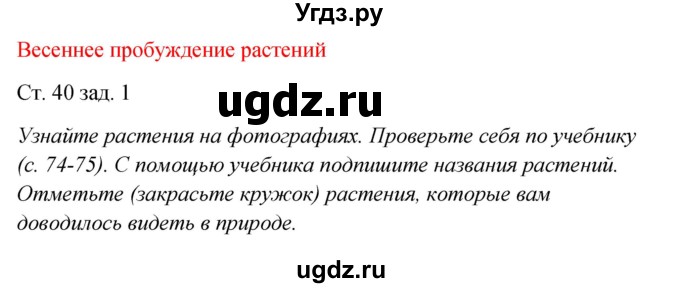 ГДЗ (Решебник) по окружающему миру 2 класс (рабочая тетрадь) Плешаков А.А. / часть 2. страница номер / 40