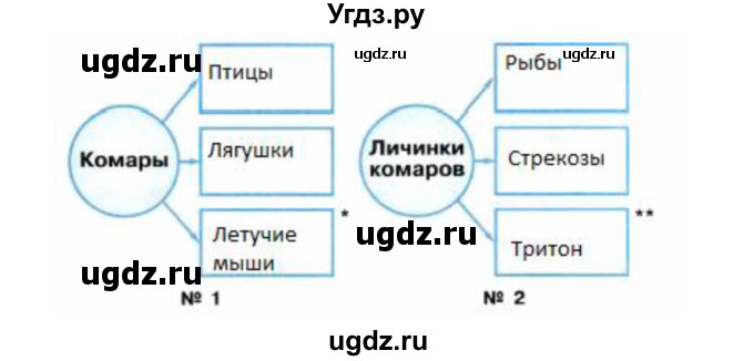 ГДЗ (Решебник) по окружающему миру 2 класс (рабочая тетрадь) Плешаков А.А. / часть 2. страница номер / 47(продолжение 2)