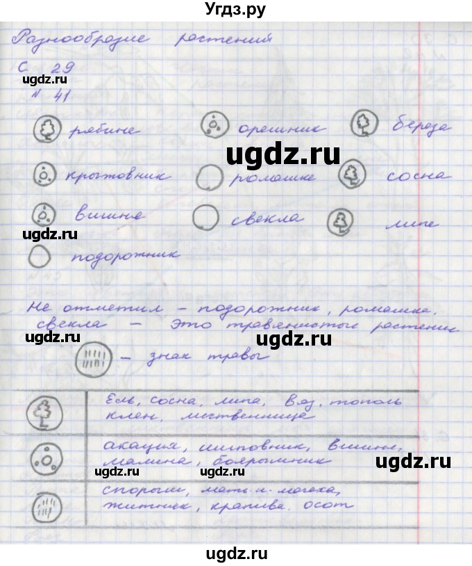 ГДЗ (Решебник) по окружающему миру 2 класс (тетрадь для самостоятельной работы) Федотова О.Н. / часть 1. страница номер / 29