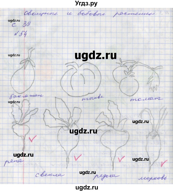 ГДЗ (Решебник) по окружающему миру 2 класс (тетрадь для самостоятельной работы) Федотова О.Н. / часть 1. страница номер / 39