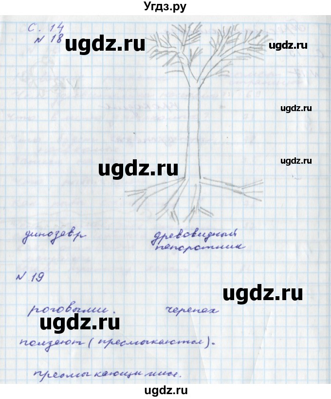 ГДЗ (Решебник) по окружающему миру 2 класс (тетрадь для самостоятельной работы) Федотова О.Н. / часть 2. страница номер / 14