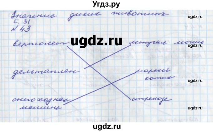 ГДЗ (Решебник) по окружающему миру 2 класс (тетрадь для самостоятельной работы) Федотова О.Н. / часть 2. страница номер / 31