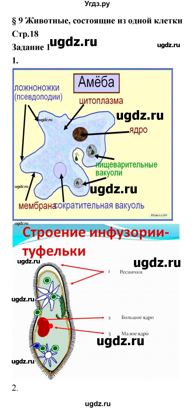 ГДЗ (Решебник) по биологии 7 класс (рабочая тетрадь) Сухова Т.С. / часть 1 страница номер / 18