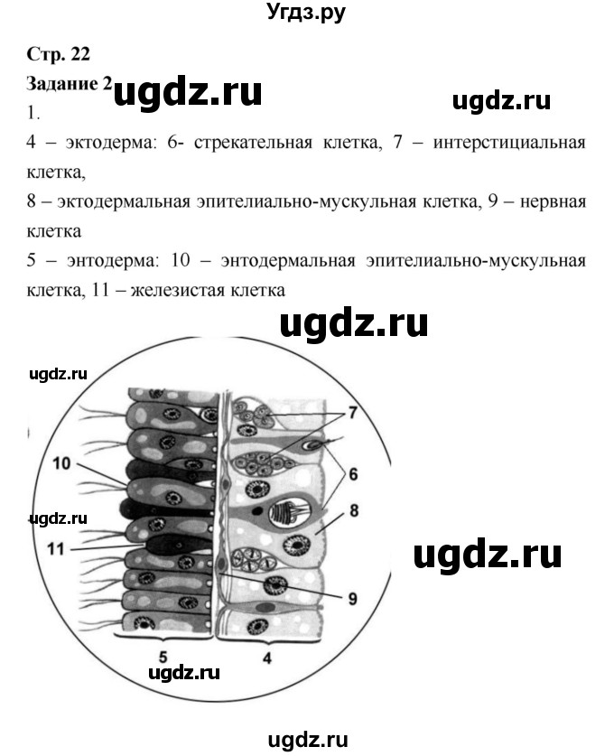 ГДЗ (Решебник) по биологии 7 класс (рабочая тетрадь) Сухова Т.С. / часть 1 страница номер / 22