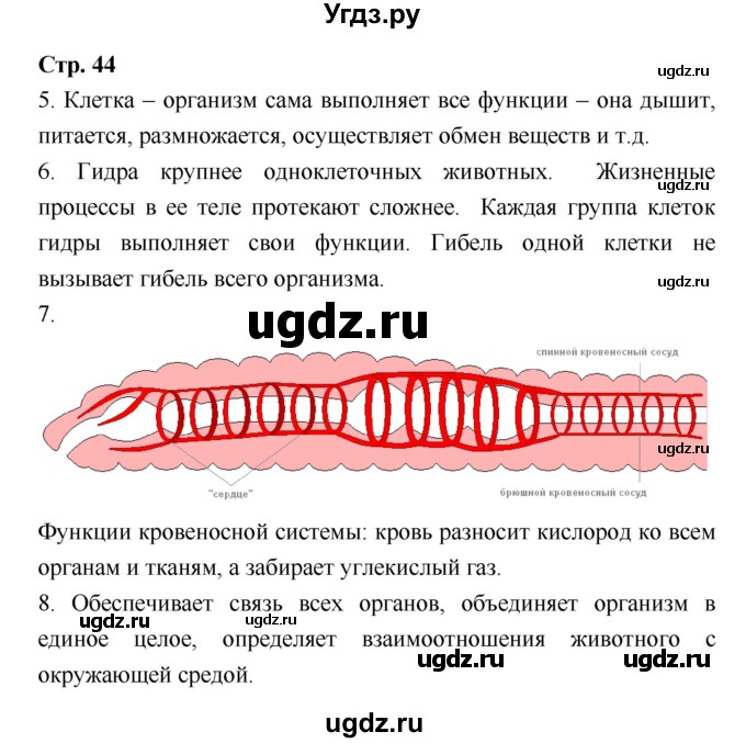 ГДЗ (Решебник) по биологии 7 класс (рабочая тетрадь) Сухова Т.С. / часть 1 страница номер / 44