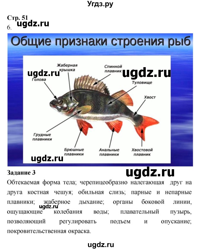 ГДЗ (Решебник) по биологии 7 класс (рабочая тетрадь) Сухова Т.С. / часть 1 страница номер / 51