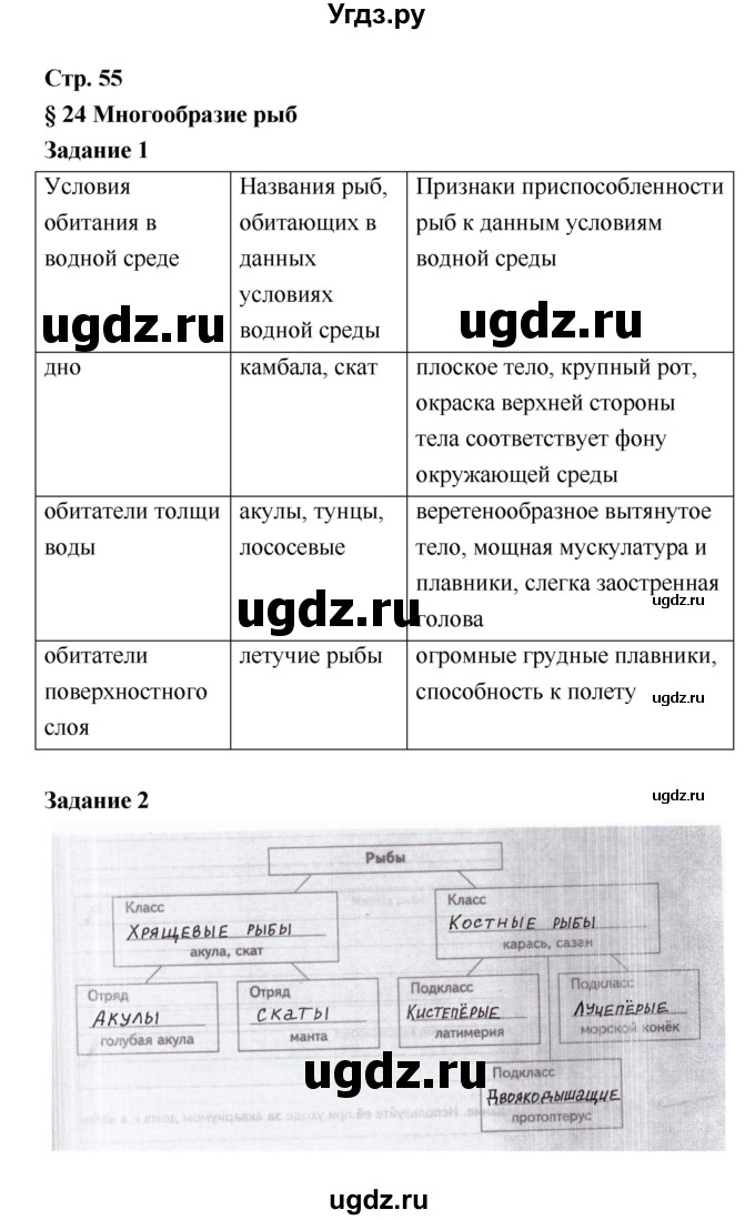 ГДЗ (Решебник) по биологии 7 класс (рабочая тетрадь) Сухова Т.С. / часть 1 страница номер / 55