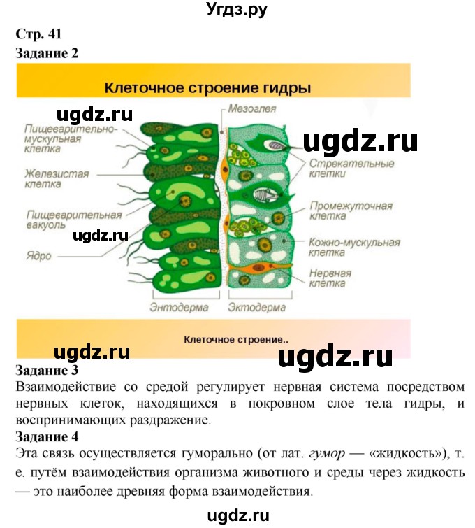 ГДЗ (Решебник) по биологии 7 класс (рабочая тетрадь) Сухова Т.С. / часть 2 страница номер / 41