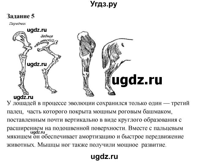 ГДЗ (Решебник) по биологии 7 класс (рабочая тетрадь) Сухова Т.С. / часть 2 страница номер / 45(продолжение 2)