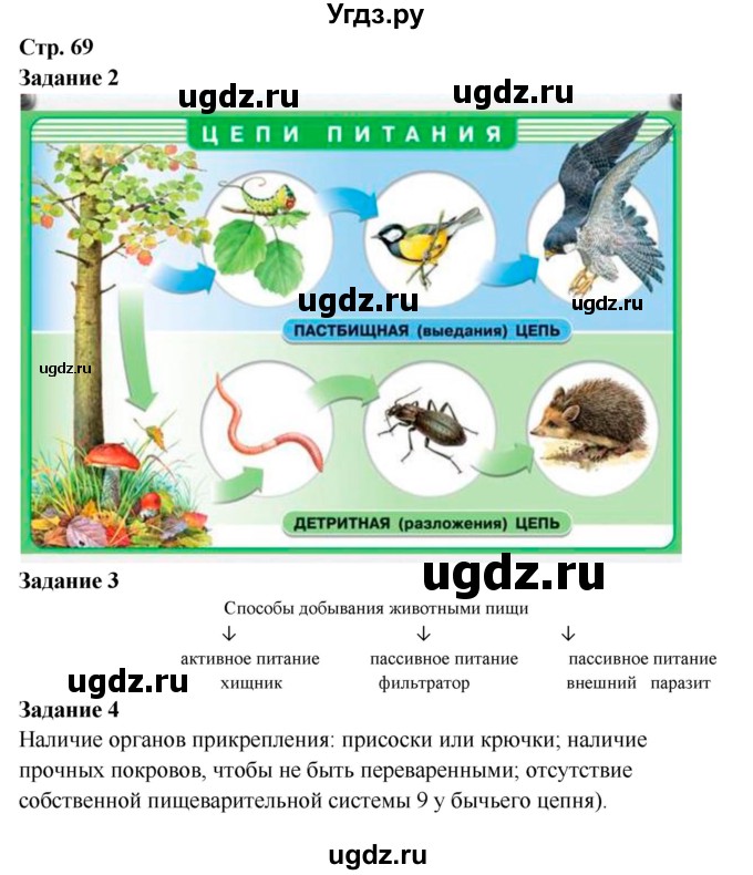 ГДЗ (Решебник) по биологии 7 класс (рабочая тетрадь) Сухова Т.С. / часть 2 страница номер / 69