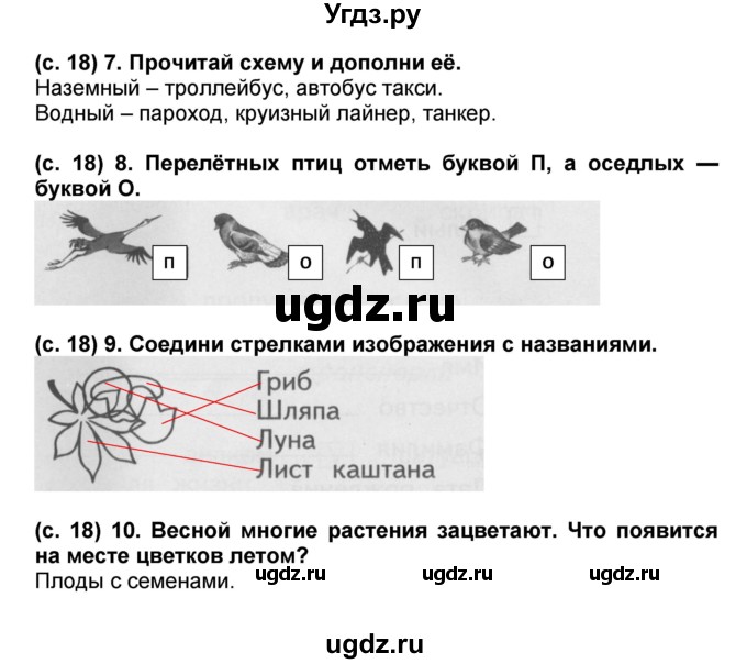 ГДЗ (Решебник) по окружающему миру 1 класс (проверочные и диагностические работы) Ивченкова Г.Г. / страница номер / 18