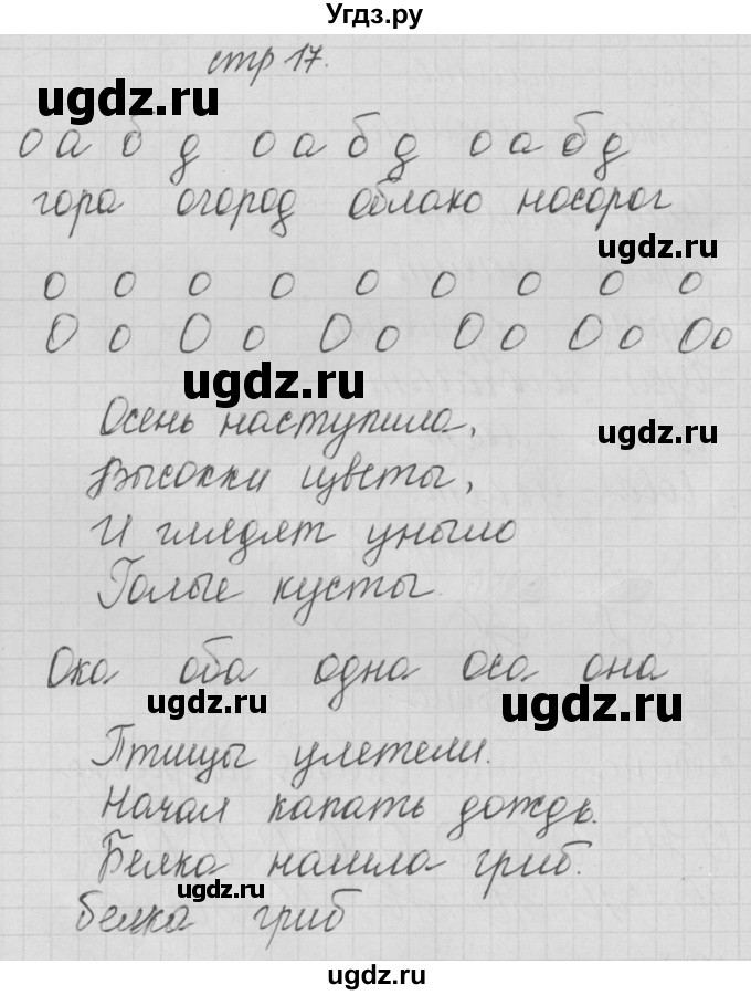 ГДЗ (Решебник) по русскому языку 1 класс (тетрадь по письму) Нечаева Н.В. / тетрадь №1. страница / 17