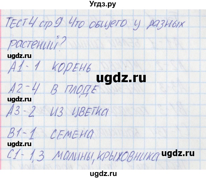 ГДЗ (Решебник) по окружающему миру 1 класс (контрольно-измерительные материалы) Яценко И.ф. / тест номер / 4