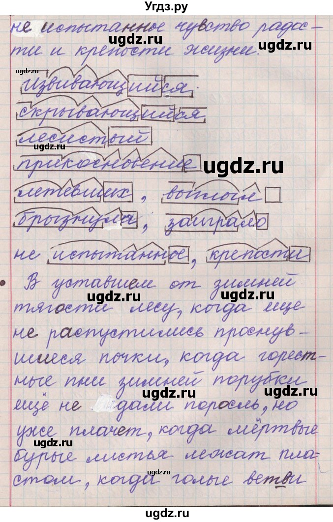 ГДЗ (Решебник) по русскому языку 11 класс Львова С.И. / номер упражнения / 165(продолжение 8)