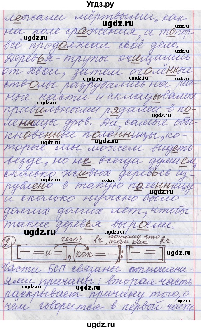 ГДЗ (Решебник) по русскому языку 11 класс Львова С.И. / номер упражнения / 25(продолжение 3)