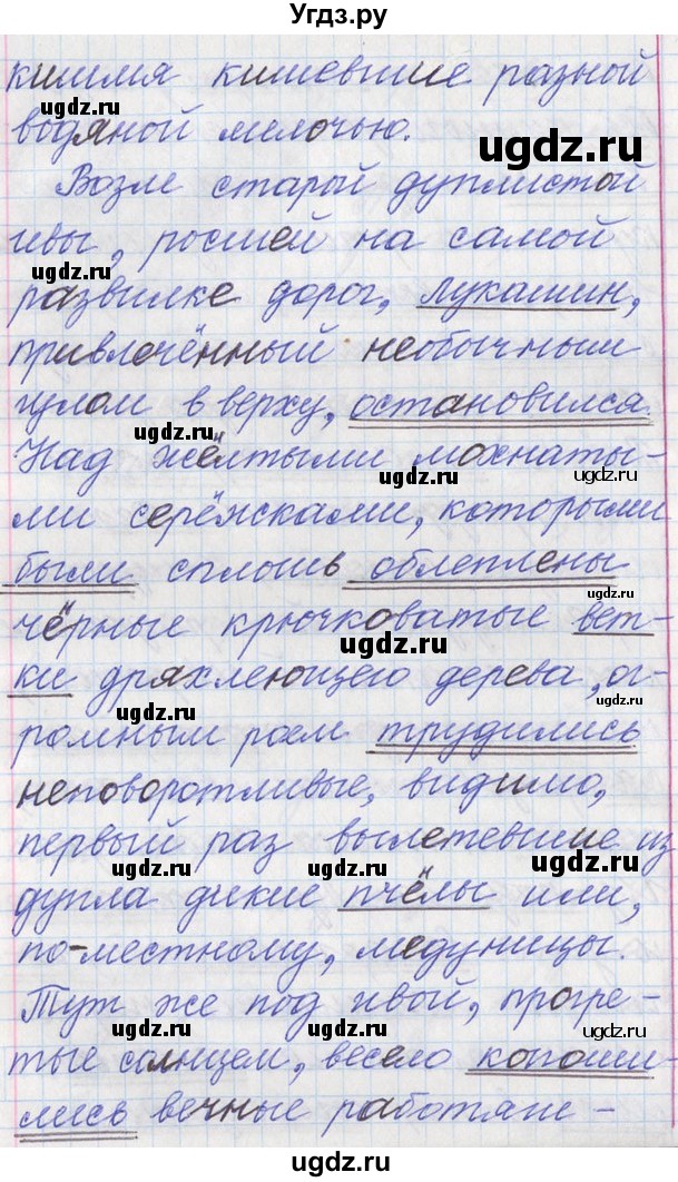 ГДЗ (Решебник) по русскому языку 11 класс Львова С.И. / номер упражнения / 251(продолжение 4)