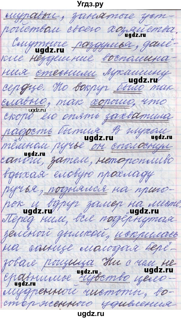 ГДЗ (Решебник) по русскому языку 11 класс Львова С.И. / номер упражнения / 251(продолжение 5)